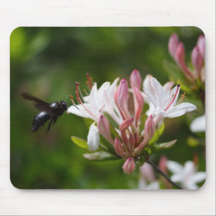 Mousepad Xylocopa violacea
