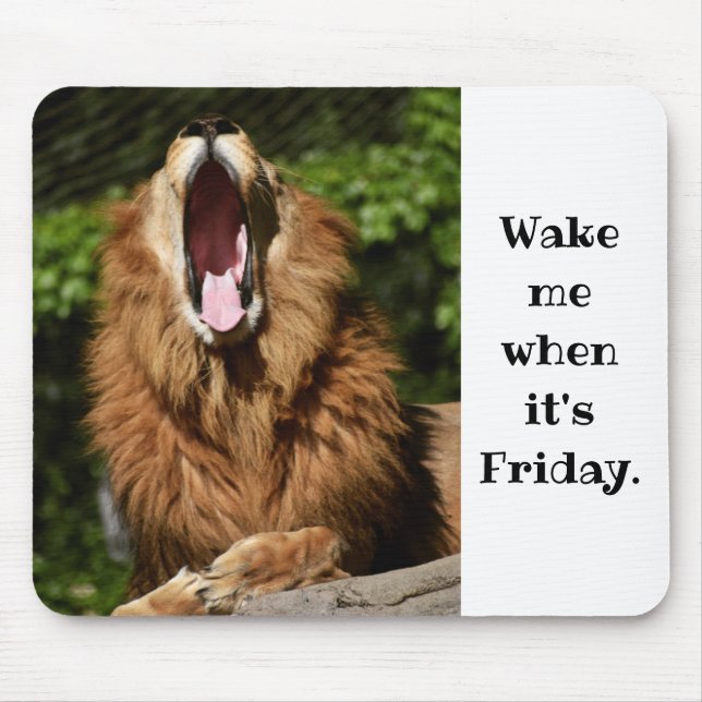 Mousepad Yawning Lion - Acordar-me quando for sexta-feira (Frente)