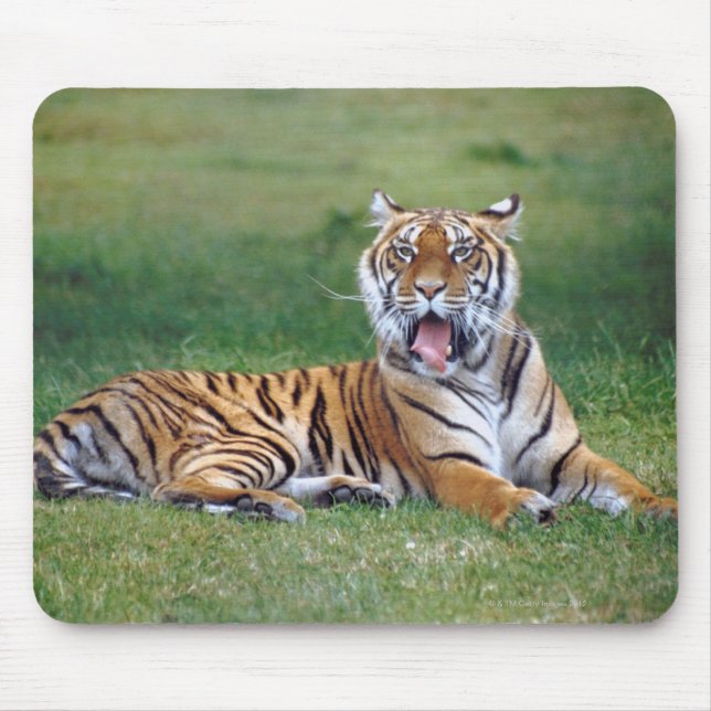Mousepad Yawning Tiger (Frente)