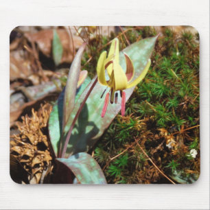 Mousepad Yellow and Plum Trout Lily