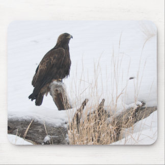 Mousepad Yellowstone Eagle dourado