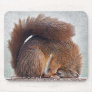 Mousepad Yoga Squirrel Mousemat