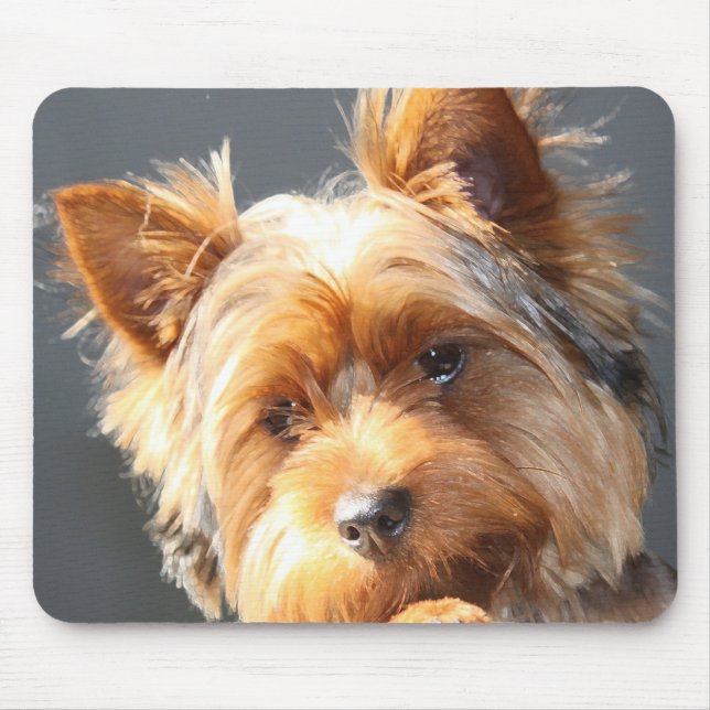 Mousepad yorkie (Frente)