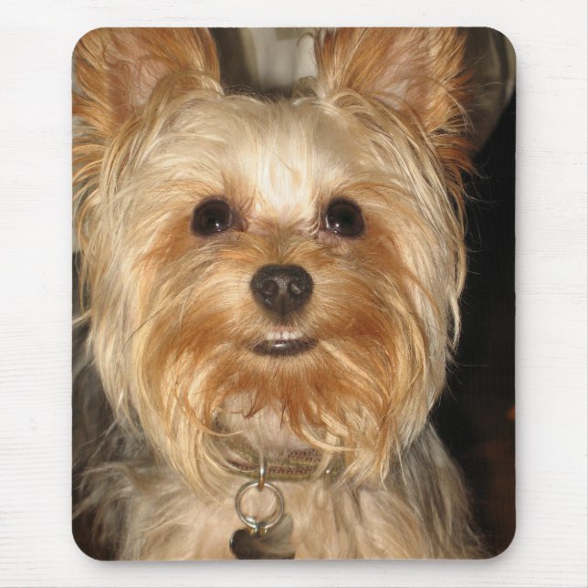 Mousepad yorkie (Frente)