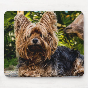 Mousepad Yorkie