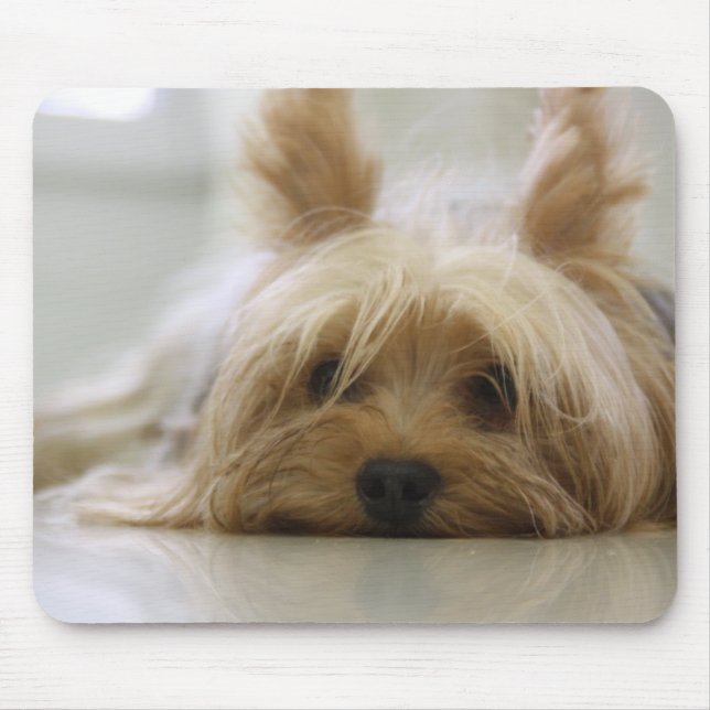 Mousepad Yorkie bonito (Frente)