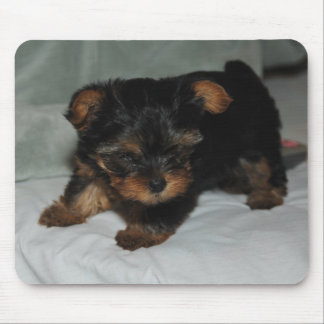 Mousepad yorkie do bebê