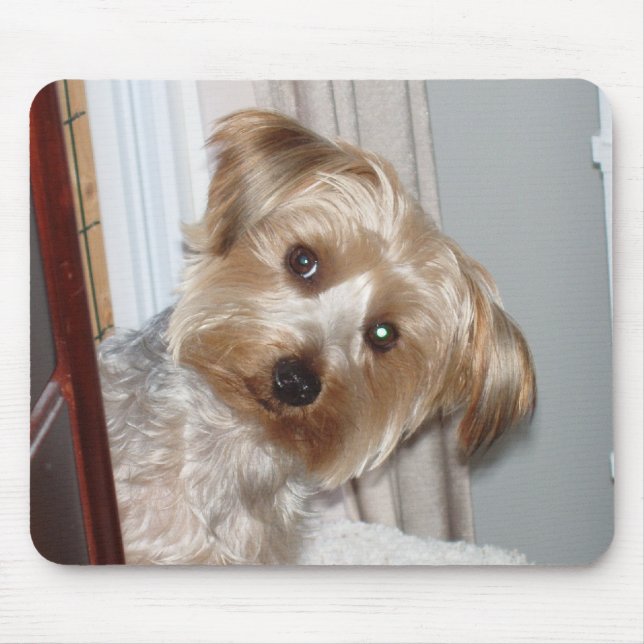 Mousepad Yorkie espreitando ao redor do canto (Frente)