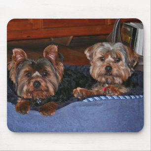 Mousepad Yorkies - amigos