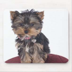 Mousepad yorkshire