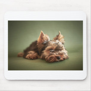 Mousepad Yorkshire terrier