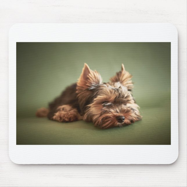Mousepad Yorkshire terrier (Frente)