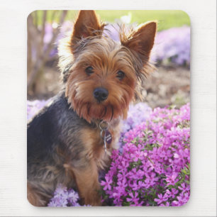 Mousepad Yorkshire Terrier