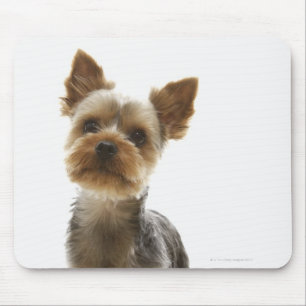 Mousepad Yorkshire terrier
