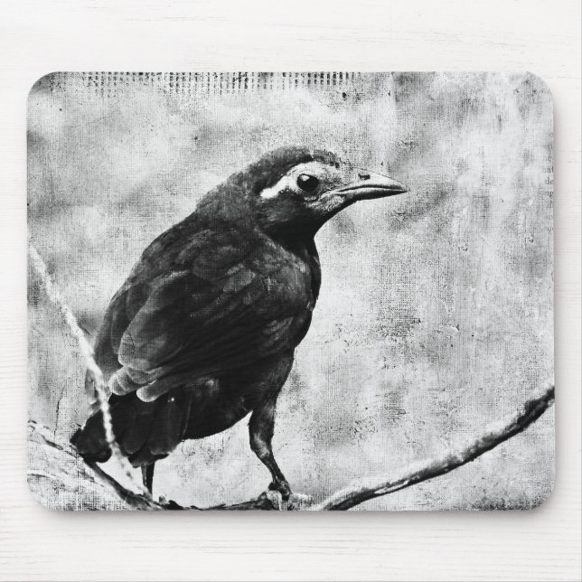 Mousepad Young Grackle (Frente)