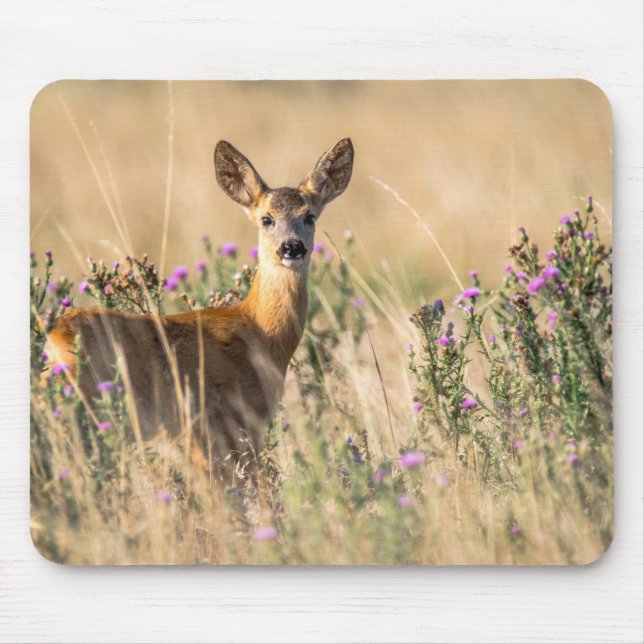 Mousepad Young Roe Deer em Meadow (Frente)