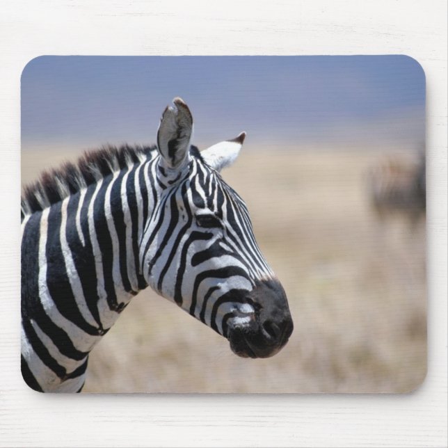 Mousepad Zebra (Frente)