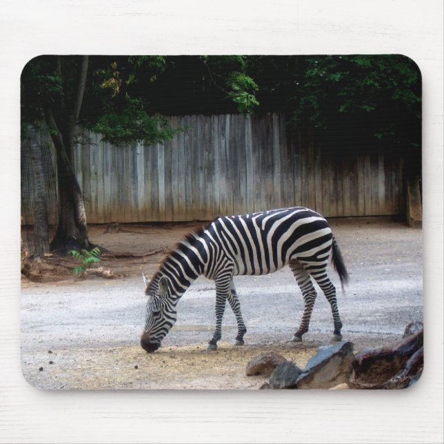 Mousepad Zebra (Frente)