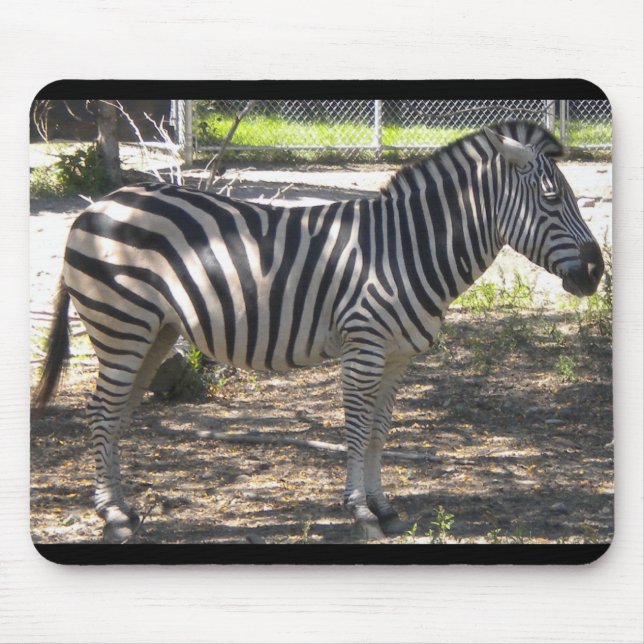 Mousepad Zebra (Frente)