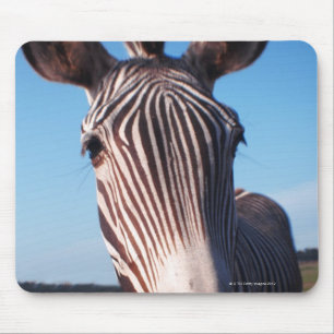 Mousepad zebra 2
