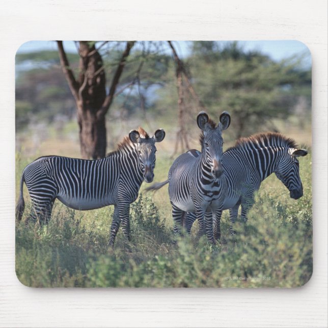 Mousepad Zebra 2 (Frente)