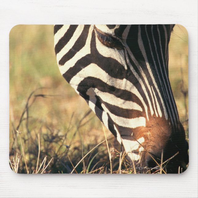 Mousepad zebra de Burchell (Frente)