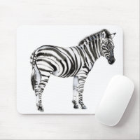 Zebra em pé