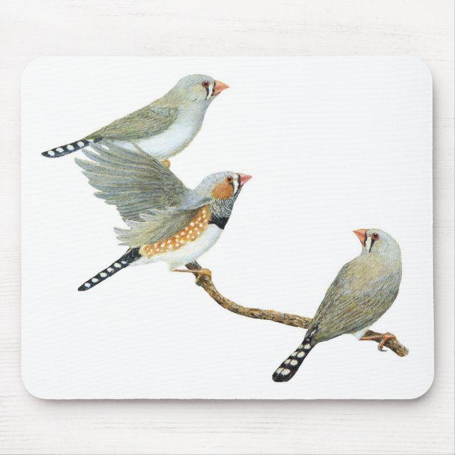 Mousepad Zebra Finch Trio - Taeniopygia guttata (Frente)