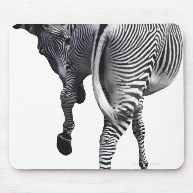 Mousepad Zebra virando (Frente)