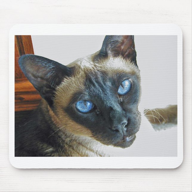 Mousepad ZenaLrg_7_20_05_edited-1 (Frente)