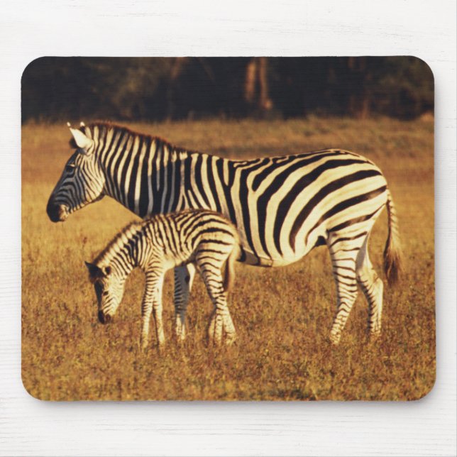 Mousepad Zimbábue, Parque Nacional Hwange, Linkwasha (Frente)