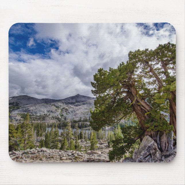 Mousepad Zimbro de Sierra e Árvores Sempre-Verdes (Frente)