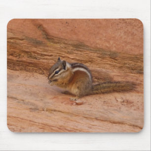 Mousepad Zion Chipmunk em Rochas Vermelhas