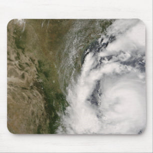 Mousepad Zorra tropical da tempestade