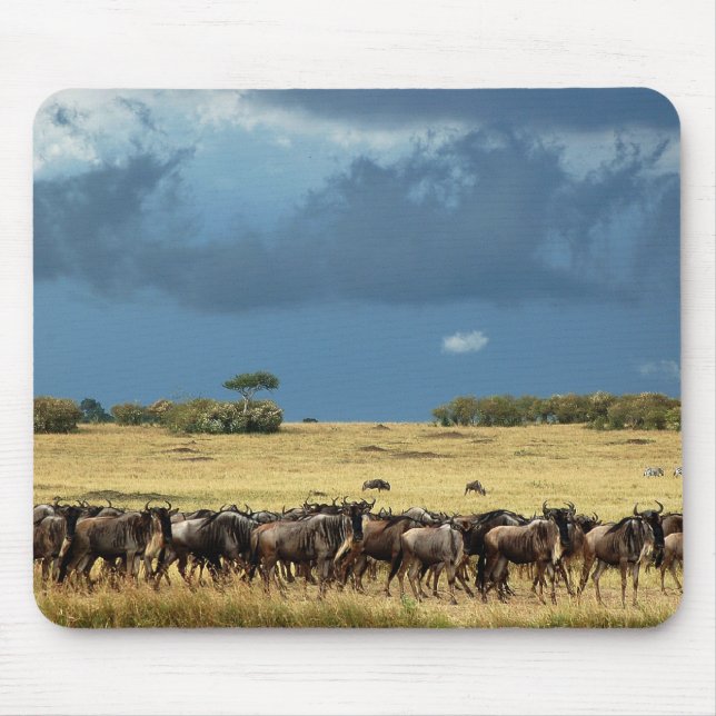 Mousepads azuis de Mara do Masai da migração do (Frente)