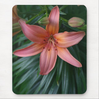 Mousepads cor-de-rosa da fotografia da flor do