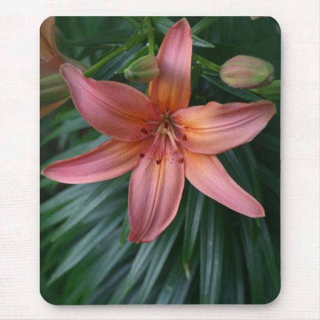 Mousepads cor-de-rosa da fotografia da flor do (Frente)