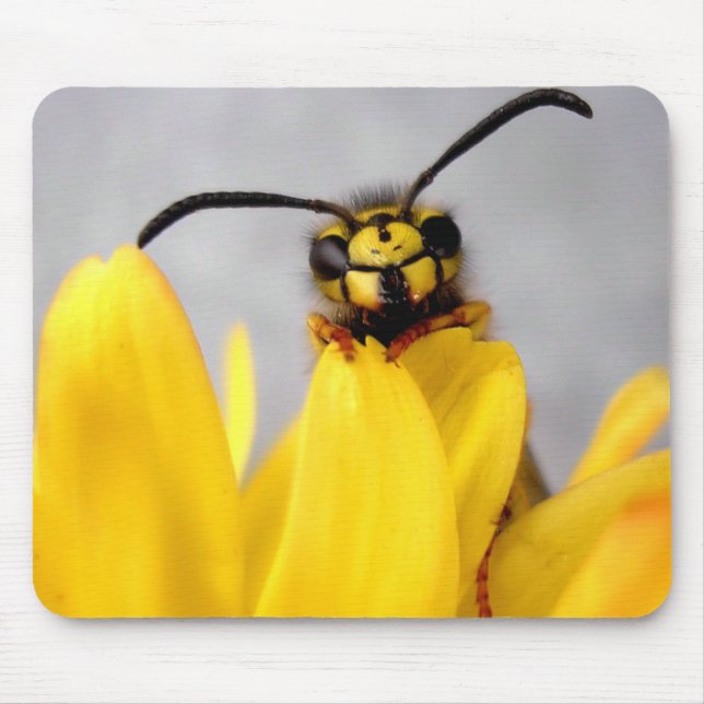 Mousepads de Vespa Engraçada (Frente)