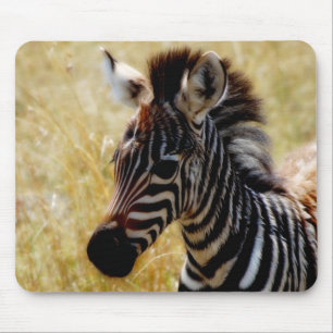 Mousepads dos animais selvagens do potro da zebra