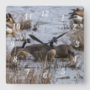 Movendo no Relógio de Parede