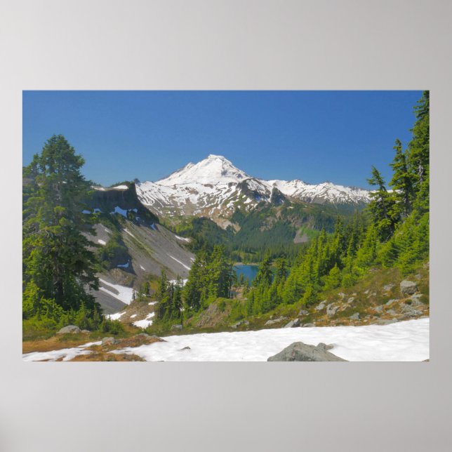 Mt. Baker, Forest e Alpino Lake Photo Poster (Frente)