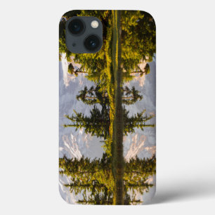 Mt. Rainier refletido em uma chuva perto do Pico d