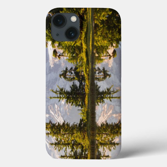 Mt. Rainier refletido em uma chuva perto do Pico d (Verso)