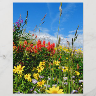Mt. Wildflower