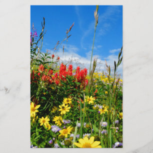 Mt. Wildflower