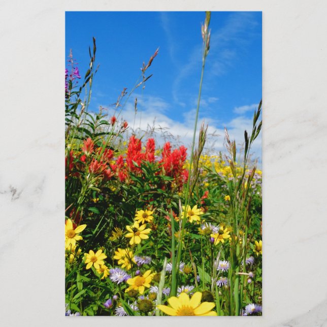 Mt. Wildflower (Frente)