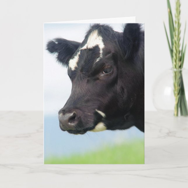 Mudança da vaca do cartão de endereço (Frente)