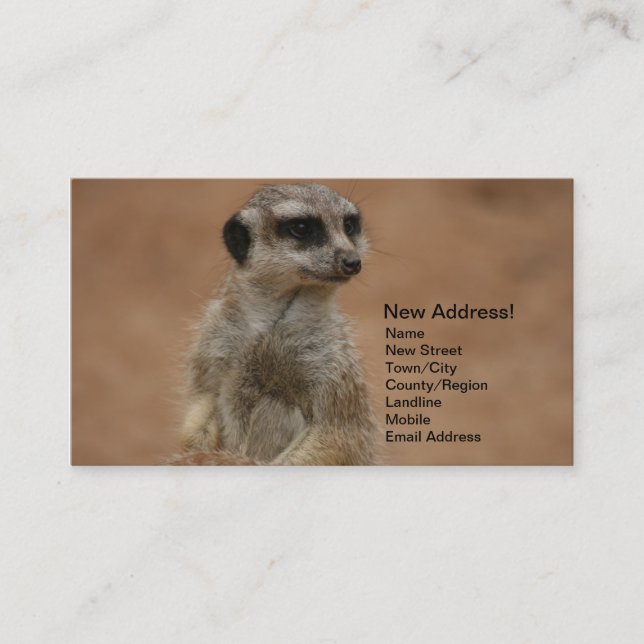 Mudança de cartões de endereço - Meerkats (Frente)