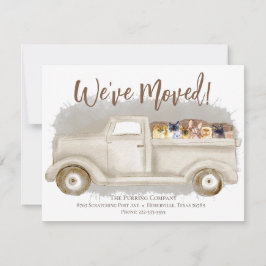 Mudança De Endereço, Gatos, Anúncio De Caminhão Em