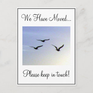 Mudança de pássaros de vôo do cartão de endereço